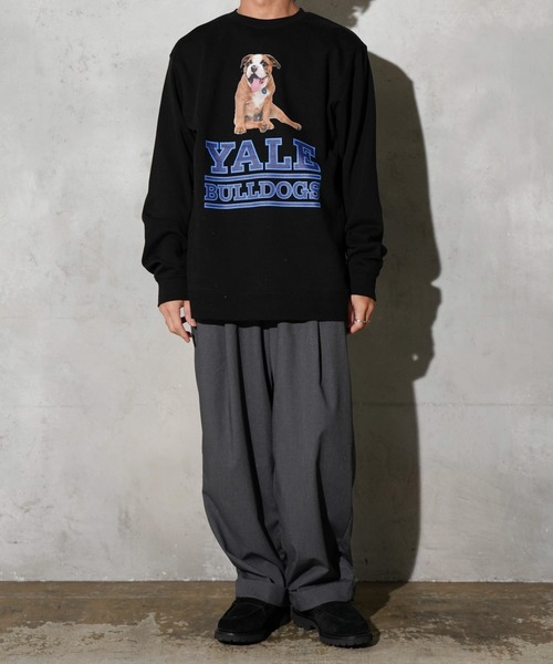 SUNNY  SPORTS（サニースポーツ）の「The BOOK STORE / ブックストア "BULLDOGS" CREW SWEAT イェール大学 ブルドッグ フォト クルーネックスウェット（スウェット・メンズ・ホワイト/ヘザーグレー/ブラック・MEDIUM/X-LARGE/LARGE）」の11枚目の写真