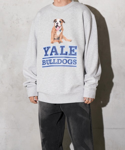 SUNNY  SPORTS（サニースポーツ）の「The BOOK STORE / ブックストア "BULLDOGS" CREW SWEAT イェール大学 ブルドッグ フォト クルーネックスウェット（スウェット・メンズ・ホワイト/ヘザーグレー/ブラック・MEDIUM/X-LARGE/LARGE）」の12枚目の写真