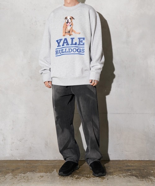 SUNNY  SPORTS（サニースポーツ）の「The BOOK STORE / ブックストア "BULLDOGS" CREW SWEAT イェール大学 ブルドッグ フォト クルーネックスウェット（スウェット・メンズ・ホワイト/ヘザーグレー/ブラック・MEDIUM/X-LARGE/LARGE）」の13枚目の写真
