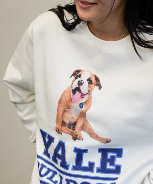 SUNNY  SPORTS（サニースポーツ）の「The BOOK STORE / ブックストア "BULLDOGS" CREW SWEAT イェール大学 ブルドッグ フォト クルーネックスウェット（スウェット・メンズ・ホワイト/ヘザーグレー/ブラック・MEDIUM/X-LARGE/LARGE）」の4枚目の写真