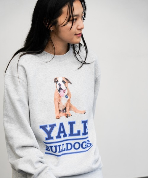 SUNNY  SPORTS（サニースポーツ）の「The BOOK STORE / ブックストア "BULLDOGS" CREW SWEAT イェール大学 ブルドッグ フォト クルーネックスウェット（スウェット・メンズ・ホワイト/ヘザーグレー/ブラック・MEDIUM/X-LARGE/LARGE）」の5枚目の写真