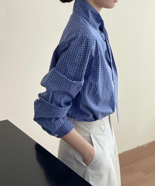semplice(センプリチェ)の「スタンドカラー チェックシャツ(シャツ/ブラウス・レディース・ブルー・F)」の13枚目の写真