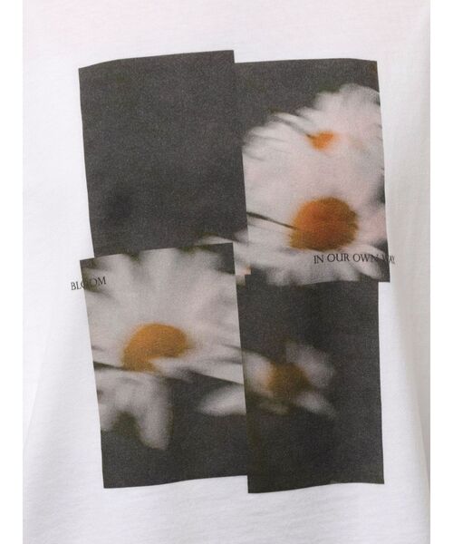 MURUA(ムルーア)の「プリントオーバーTシャツ 夏服(Tシャツ/カットソー・レディース・ブラウン/その他1/ブラック・FREE)」の6枚目の写真