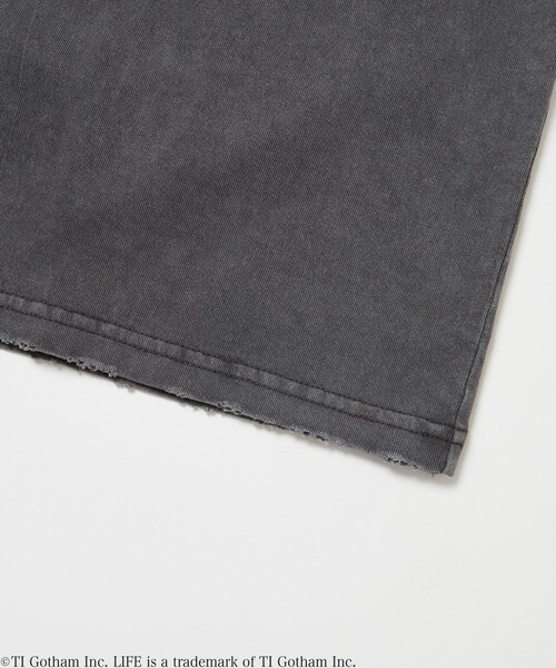 LIFE（ライフ）の「LIFE/ライフ 別注 マドンナ コラボフォト