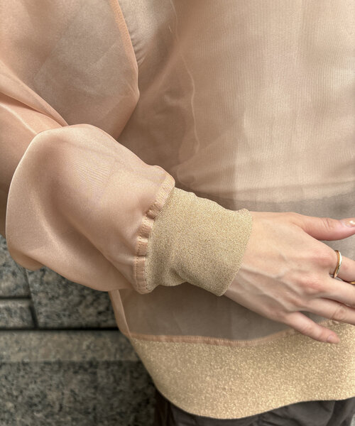 DouDou（ドゥドゥ）の「【WEB限定】オーガンジーラメカーディガン（カーディガン/ボレロ・レディース・ベージュ/ブラック/サックスブルー・FREE）」の16枚目の写真
