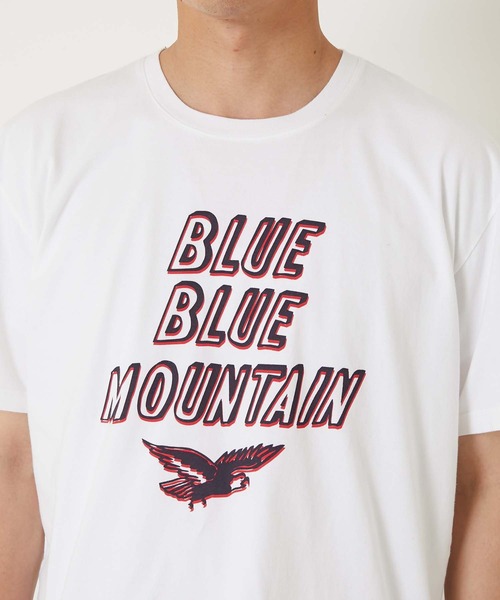 BLUE BLUE(ブルーブルー)の「BLUE BLUE MOUNTAIN ショートスリーブTシャツ(Tシャツ/カットソー・メンズ・ホワイト/ネイビー・S/M/L/XL)」の6枚目の写真