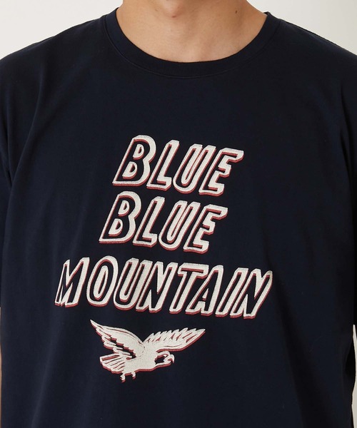 BLUE BLUE(ブルーブルー)の「BLUE BLUE MOUNTAIN ショートスリーブTシャツ(Tシャツ/カットソー・メンズ・ホワイト/ネイビー・S/M/L/XL)」の12枚目の写真