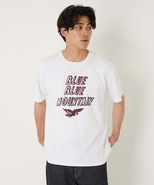 BLUE BLUE(ブルーブルー)の「BLUE BLUE MOUNTAIN ショートスリーブTシャツ(Tシャツ/カットソー・メンズ・ホワイト/ネイビー・S/M/L/XL)」の3枚目の写真