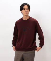 カレッジロゴ 刺繍プルオーバー
