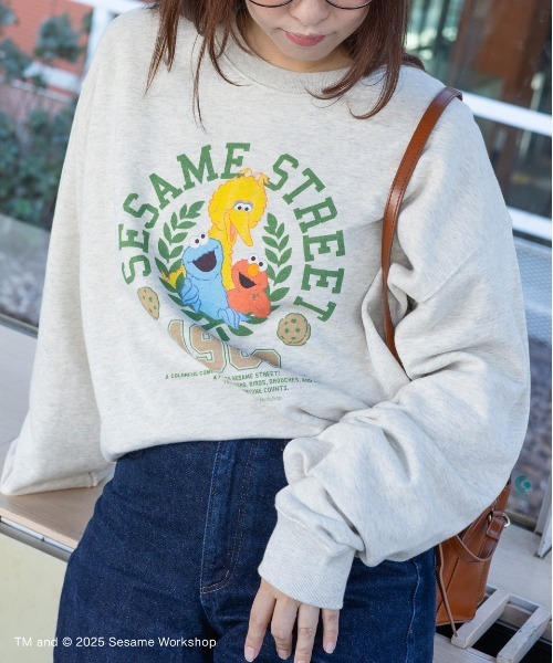 SESAME STREET(セサミストリート)の「リーフロゴ裏毛プルオーバー(スウェット・レディース・ライトグレー/グリーン・M/L)」の1枚目の写真