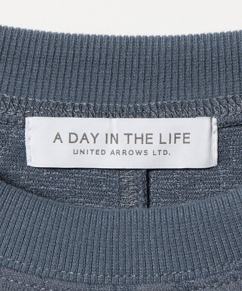 A DAY IN THE LIFE UNITED ARROWS(アデイインザライフユナイテッドアローズ)の「パフジャガード プルオーバー <A DAY IN THE LIFE>(Tシャツ/カットソー・レディース・ブラック/ロイヤルブルー/ナチュラル・FREE)」の21枚目の写真