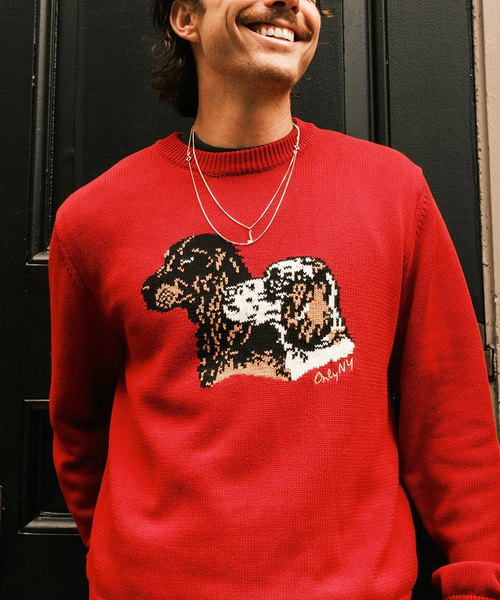 ONLY NY(オンリーニューヨーク)の「ONLY NY / オンリーニューヨーク Retriever Sweater(ニット/セーター・メンズ・レッド・MEDIUM)」の1枚目の写真