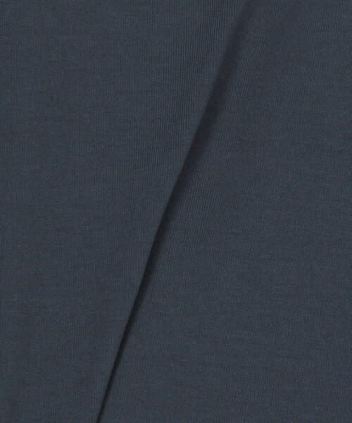 THE NORTH FACE（ザノースフェイス）の「THE NORTH FACE/ザ・ノース・フェイス Short Sleeve Historical Logo Tee/ショートスリーブ ヒストリカル ロゴ Tシャツ (NT32407)　限定展開（Tシャツ/カットソー・メンズ・ネイビー/ホワイト/ライトグレー/ブラック・MEDIUM/SMALL/X-LARGE/LARGE）」の17枚目の写真