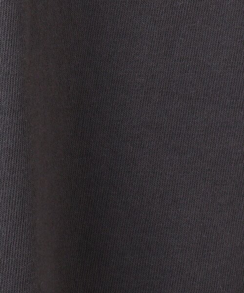 DRESKIP（ドレスキップ）の「◆【wrangler(ラングラー)別注】 カレッジTシャツ（Tシャツ/カットソー・レディース・チャコールグレー/オフホワイト/ダークオレンジ・00）」の12枚目の写真