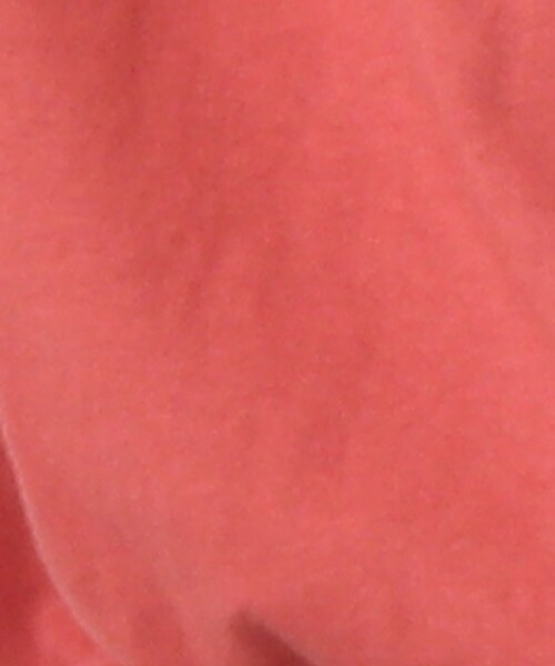 DRESKIP（ドレスキップ）の「◆【wrangler(ラングラー)別注】 カレッジTシャツ（Tシャツ/カットソー・レディース・チャコールグレー/オフホワイト/ダークオレンジ・00）」の18枚目の写真