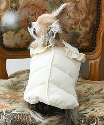 One Octave(IN^[)One Octave/t݃_ExXg(ybgEFA)