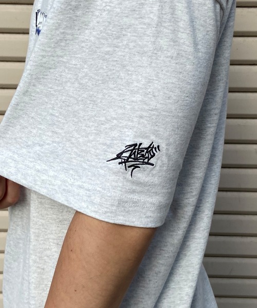 DC（ディーシー）の「DC/ディーシー 半袖Tシャツ バックプリント ワイドシルエット ドロップショルダー DST241019（Tシャツ/カットソー・メンズ・ブラック/グレー/ホワイト・L/M/XL/2XL）」の12枚目の写真