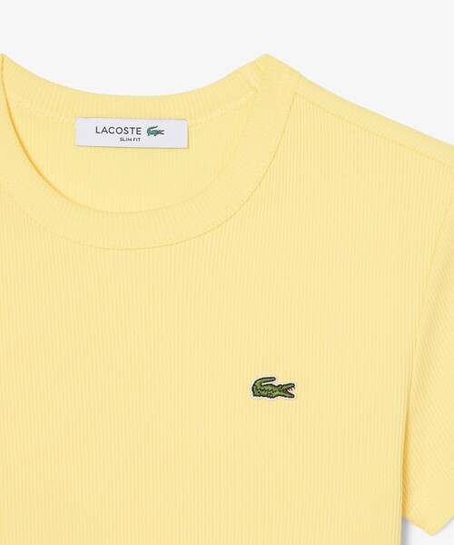 LACOSTE（ラコステ）の「タイトフィットリブニットTシャツ（Tシャツ/カットソー・レディース・ブラック/ホワイト/イエロー・34/36/38/40/42）」の18枚目の写真