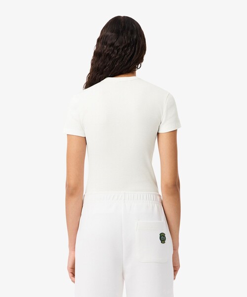 LACOSTE（ラコステ）の「タイトフィットリブニットTシャツ（Tシャツ/カットソー・レディース・ブラック/ホワイト/イエロー・34/36/38/40/42）」の14枚目の写真