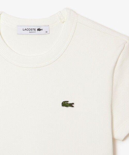 LACOSTE（ラコステ）の「タイトフィットリブニットTシャツ（Tシャツ/カットソー・レディース・ブラック/ホワイト/イエロー・34/36/38/40/42）」の12枚目の写真