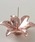 ammy.�i�G�C�~�[�h�b�g�j�́u�y ammy. / �G�C�~�[�h�b�g �z �t�����[ ���`�[�t �C���Z���X �z���_�[ �^ �������āi���[���t���O�����X/�����j�v�b�s���N�n���̑�