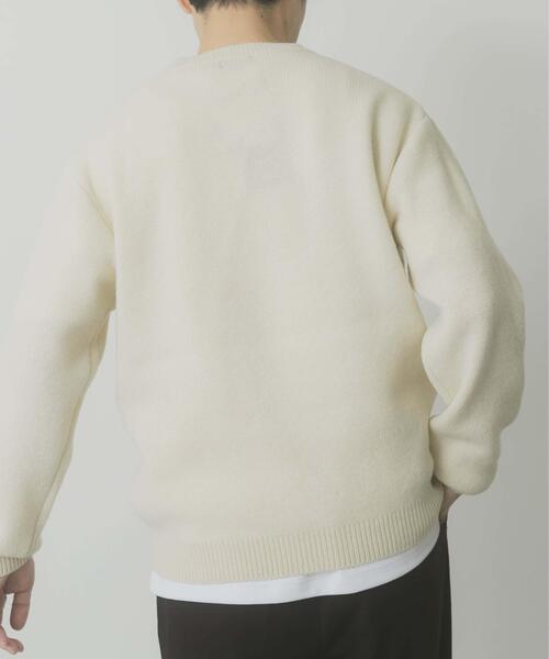 ITEMS URBANRESEARCH（アイテムズ アーバンリサーチ）の「タスマニア メリノウール100 クルーネックニット（ニット/セーター・メンズ・チャコールグレー/バーガンディー/ホワイト/マスタード/ブルー系その他/ベージュ・MEDIUM/LARGE）」の10枚目の写真