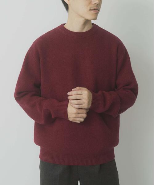 ITEMS URBANRESEARCH（アイテムズ アーバンリサーチ）の「タスマニア メリノウール100 クルーネックニット（ニット/セーター・メンズ・チャコールグレー/バーガンディー/ホワイト/マスタード/ブルー系その他/ベージュ・MEDIUM/LARGE）」の20枚目の写真