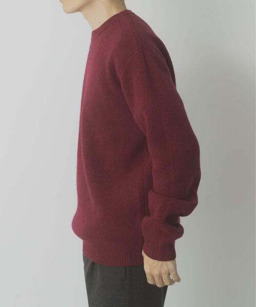 ITEMS URBANRESEARCH（アイテムズ アーバンリサーチ）の「タスマニア