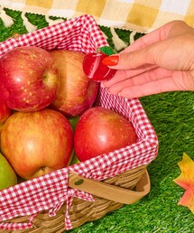 bpr BEAMS（ビーピーアール ビームス ）の「Jenny Lemons / Mini Hair Claw Clip（バレッタ/ヘアクリップ）」