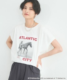 BARNYARDSTORM | BARNYARDSTORM / LIFE PICTURE COLLECTION / ATLANTIC CITY フォトT(Tシャツ/カットソー)