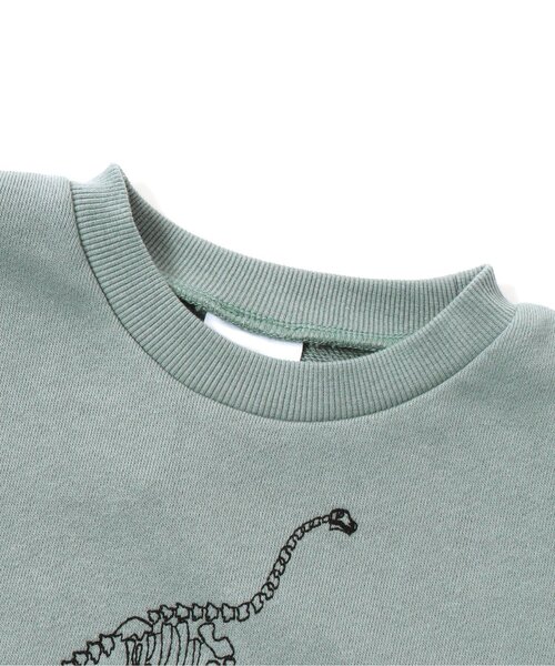 セール】恐竜化石刺繍トレーナー（スウェット）｜BREEZE（ブリーズ）の