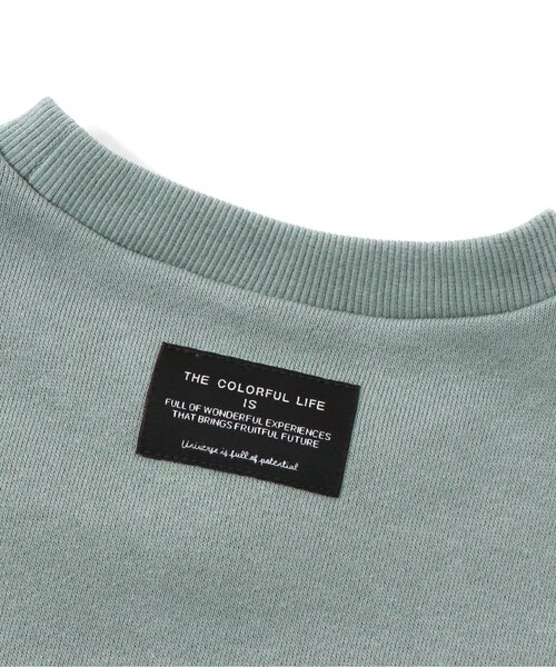BREEZE（ブリーズ）の「恐竜化石刺繍トレーナー（スウェット・キッズ・ブラック/ブラウン/イエロー/ミント/ブルー・100/110/120/80/130/140/90）」の7枚目の写真