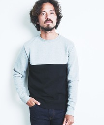 BACK BRASHED URAKE 2TONE P/O SWEAT L/S:裏毛裏起毛 2トーン プルオーバースウェット 22AW