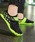 TeddyShopiefBVbvj́uY fB[X Sg󕿃}V[Ymp/jp//r/yʁnȋV[YjvbubN