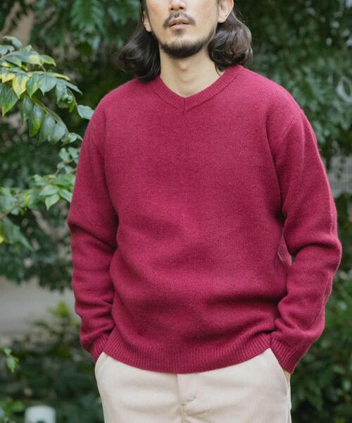 ITEMS URBANRESEARCH（アイテムズ アーバンリサーチ）の「タスマニア メリノウール100 Vネックニット（ニット/セーター・メンズ・チャコールグレー/バーガンディー/ホワイト/ブルー系その他/ベージュ/マスタード・MEDIUM/LARGE）」の6枚目の写真