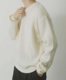 ITEMS URBANRESEARCH | タスマニア メリノウール100 Vネックニット(ニット/セーター)