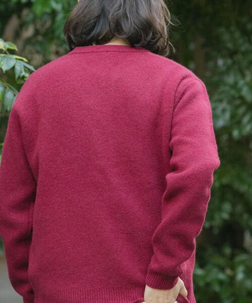 ITEMS URBANRESEARCH（アイテムズ アーバンリサーチ）の「タスマニア メリノウール100 Vネックニット（ニット/セーター・メンズ・チャコールグレー/バーガンディー/ホワイト/ブルー系その他/ベージュ/マスタード・MEDIUM/LARGE）」の10枚目の写真