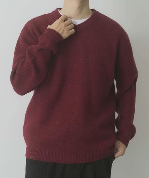 ITEMS URBANRESEARCH（アイテムズ アーバンリサーチ）の「タスマニア メリノウール100 Vネックニット（ニット/セーター・メンズ・チャコールグレー/バーガンディー/ホワイト/ブルー系その他/ベージュ/マスタード・MEDIUM/LARGE）」の14枚目の写真