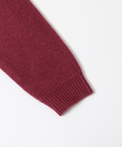 ITEMS URBANRESEARCH（アイテムズ アーバンリサーチ）の「タスマニア メリノウール100 Vネックニット（ニット/セーター・メンズ・チャコールグレー/バーガンディー/ホワイト/ブルー系その他/ベージュ/マスタード・MEDIUM/LARGE）」の16枚目の写真