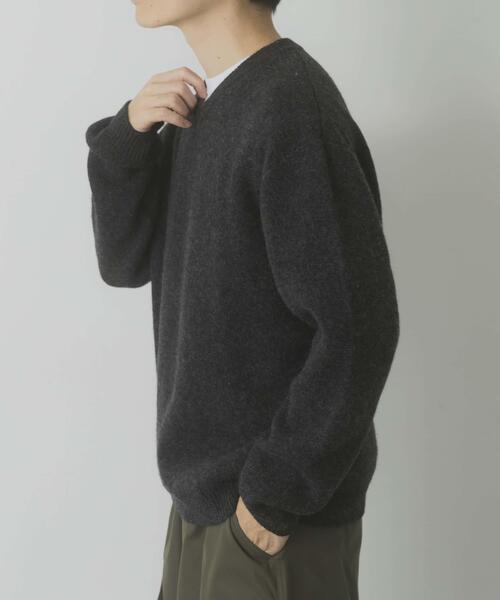 ITEMS URBANRESEARCH（アイテムズ アーバンリサーチ）の「タスマニア メリノウール100 Vネックニット（ニット/セーター・メンズ・チャコールグレー/バーガンディー/ホワイト/ブルー系その他/ベージュ/マスタード・MEDIUM/LARGE）」の19枚目の写真