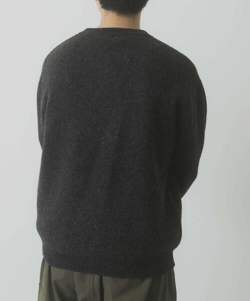 ITEMS URBANRESEARCH（アイテムズ アーバンリサーチ）の「タスマニア メリノウール100 Vネックニット（ニット/セーター・メンズ・チャコールグレー/バーガンディー/ホワイト/ブルー系その他/ベージュ/マスタード・MEDIUM/LARGE）」の20枚目の写真