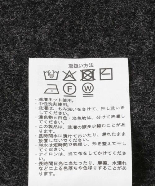 ITEMS URBANRESEARCH(アイテムズ アーバンリサーチ)の「タスマニア メリノウール100 Vネックニット(ニット/セーター・メンズ・チャコールグレー/バーガンディー/ホワイト/ブルー系その他/ベージュ/マスタード・MEDIUM/LARGE)」の16枚目の写真