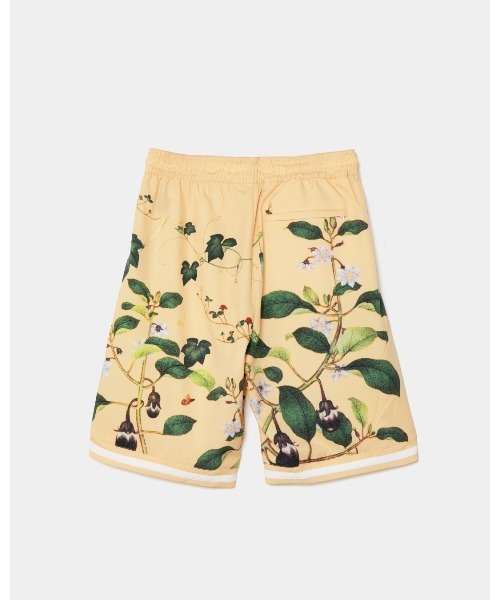 APPLEBUM(アップルバム)の「“Edo Botanical” Hoopers Shorts(その他パンツ・メンズ・イエロー・LARGE/X-LARGE/MEDIUM)」の2枚目の写真