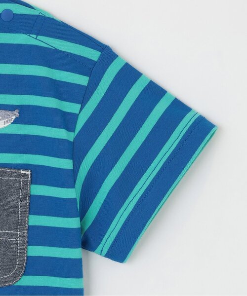 kladskap(クレードスコープ)の「太古の生きものボーダー半袖Tシャツ(Tシャツ/カットソー・キッズ・オフホワイト/ブルー/グレー・120cm/90cm/110cm/100cm/130cm)」の8枚目の写真