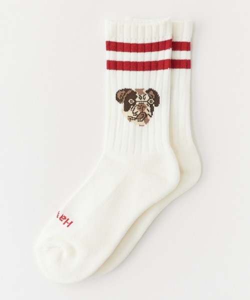 ROSTER SOX（ロスターソックス）の「ROSTER SOX/ロスターソックス DOG ラインデザイン ドッグフェイス クルーソックス 日本製 2026年 夏 夏服（ソックス/靴下・レディース・ホワイト/オレンジ・23-25cm）」の12枚目の写真