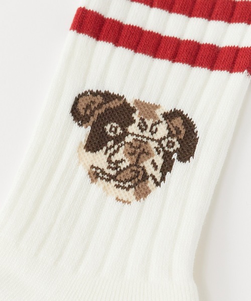 ROSTER SOX（ロスターソックス）の「ROSTER SOX/ロスターソックス DOG ラインデザイン ドッグフェイス クルーソックス 日本製 2026年 夏 夏服（ソックス/靴下・レディース・ホワイト/オレンジ・23-25cm）」の8枚目の写真
