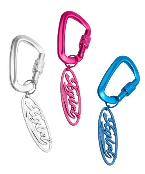 X-girl(エックスガール)の「OVAL LOGO CARABINER(キーケース/キーアクセサリー・レディース・ピンク/シルバー/ライトブルー・ONE SIZE)」の4枚目の写真