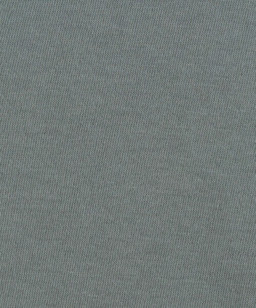 v::room(ヴィルーム)の「V::room コットンジャージー ヘンリーネックロングスリーブプルオーバー(Tシャツ/カットソー・レディース・グレー/ホワイト/ベージュ・FREE)」の6枚目の写真