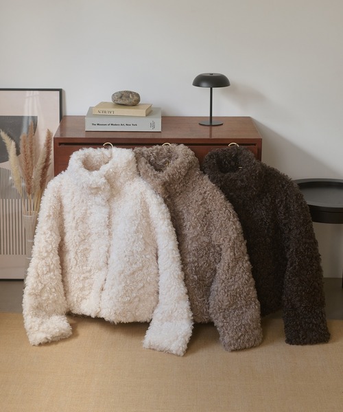 Ambre Neige(アンブルネージュ)の「poodle fake fur stand neck blouson / プードルフェイクファースタンドネックブルゾン(ブルゾン・レディース・ダークブラウン/ベージュ/アイボリー・FREE)」の9枚目の写真