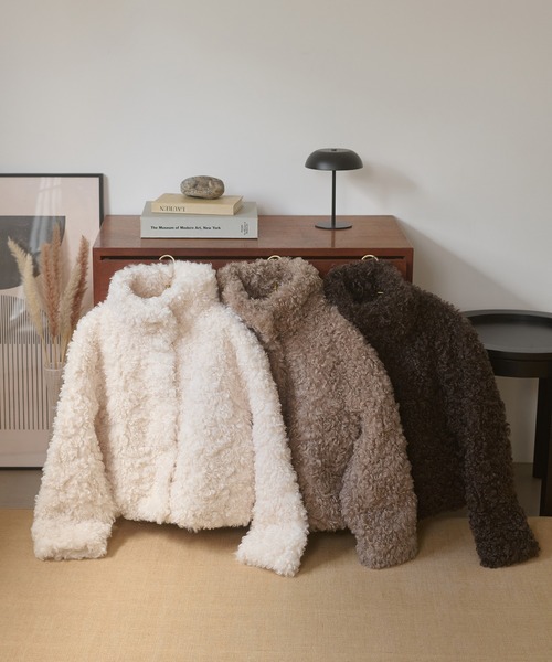 Ambre Neige(アンブルネージュ)の「poodle fake fur stand neck blouson / プードルフェイクファースタンドネックブルゾン(ブルゾン・レディース・ダークブラウン/ベージュ/アイボリー・FREE)」の10枚目の写真